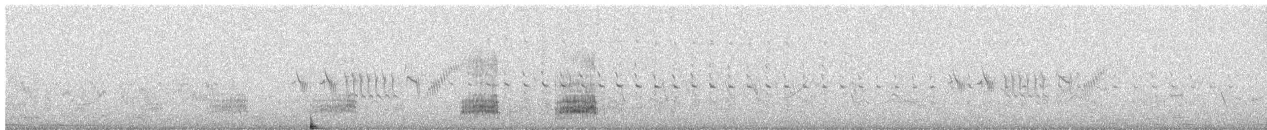 Stockente - ML654571971