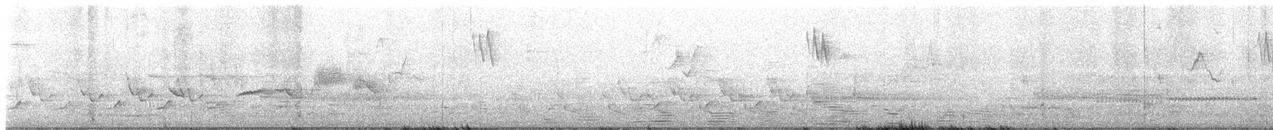 střízlík karolínský - ML654592612