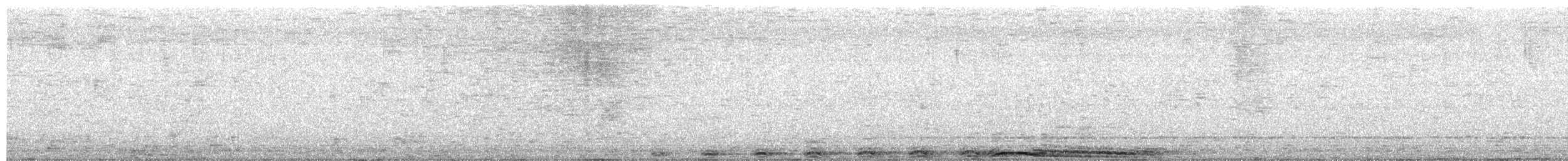 Barred Owl - ML654597819