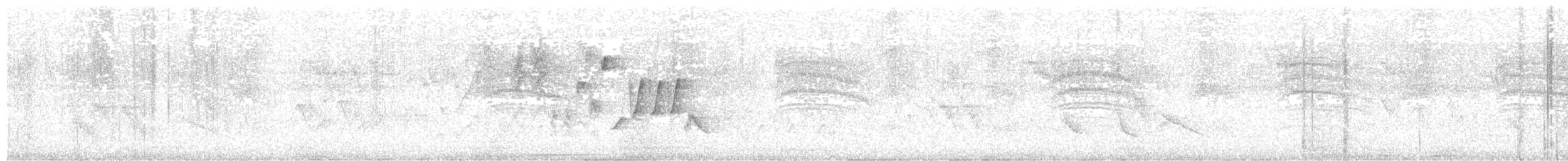 Tropical Gnatcatcher - ML654599658