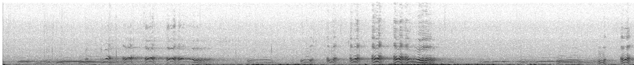 Barred Owl - ML654604044