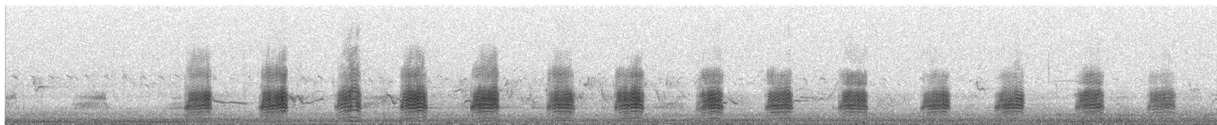 Stockente - ML654604386