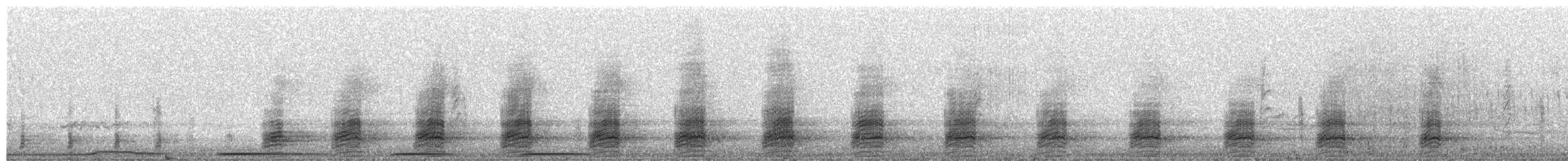 Stockente - ML654604387