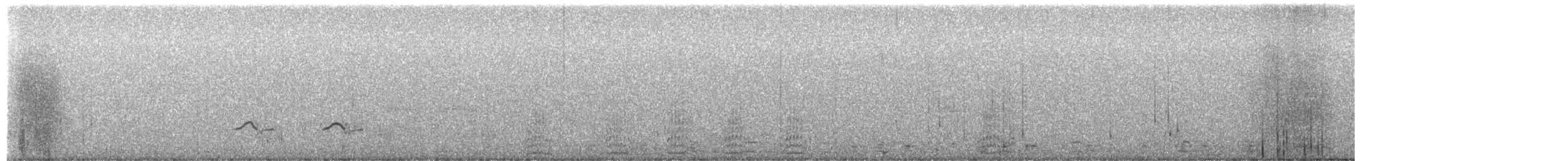 Bufflehead - ML654614728