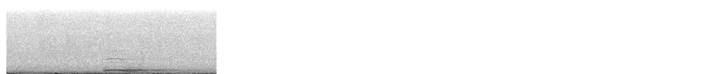 Barred Owl - ML654616298