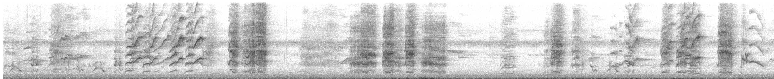 Regenbogenlori - ML654625106