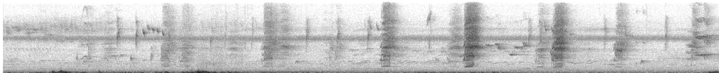 Regenbogenlori - ML654625108