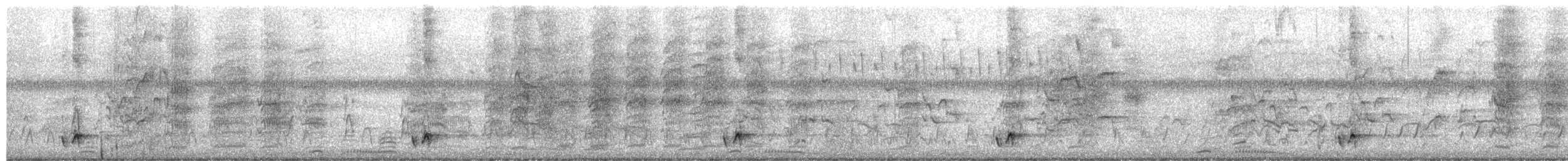 Glattstirn-Lederkopf - ML654625115