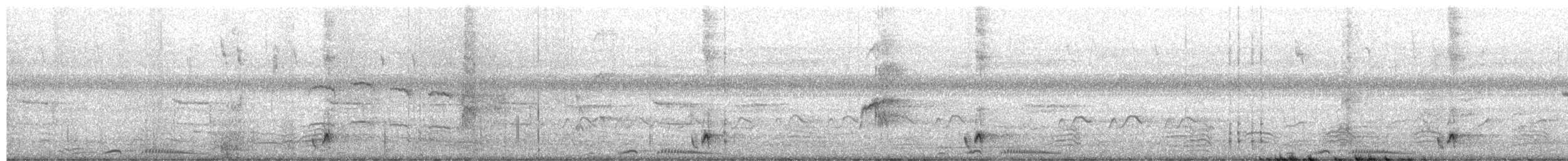 Glattstirn-Lederkopf - ML654625116