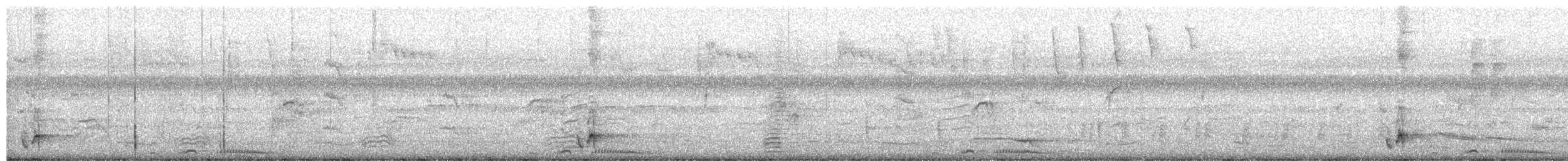 Glattstirn-Lederkopf - ML654625117