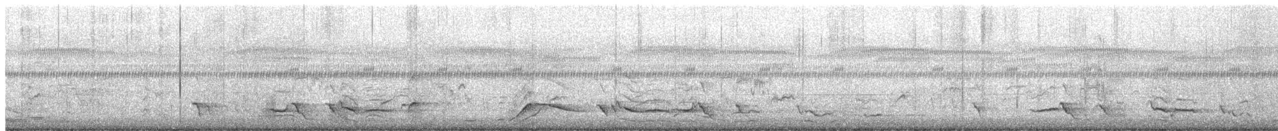 Weißbürzel-Krähenstar - ML654625155