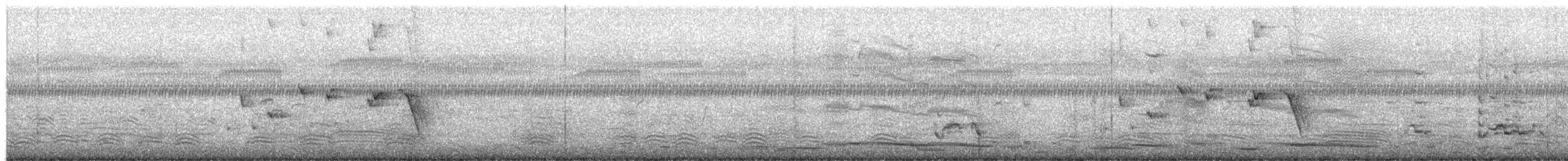 Gartenfächerschwanz - ML654625161