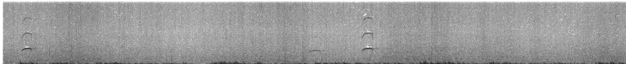 tykknebbsvarttjeld - ML654627151