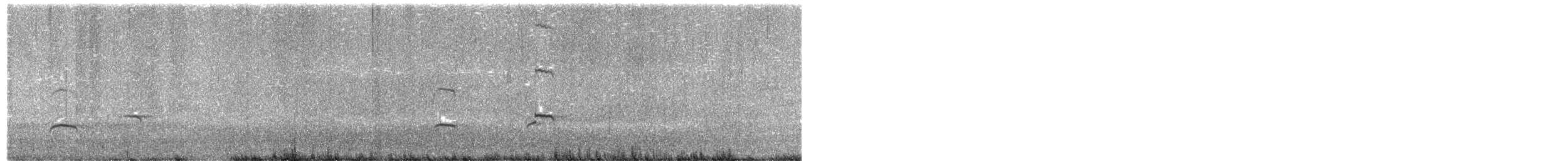 tykknebbsvarttjeld - ML654627152