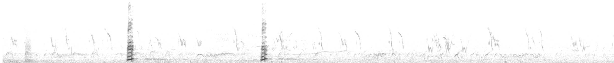 Cygne chanteur - ML654630030