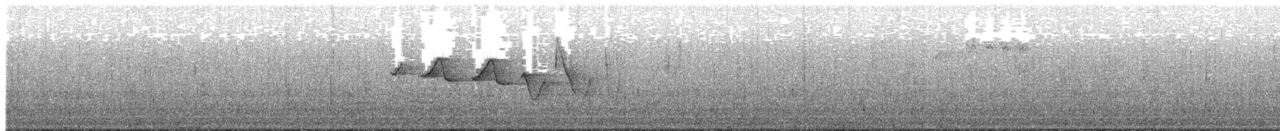 Paruline hochequeue - ML654630100