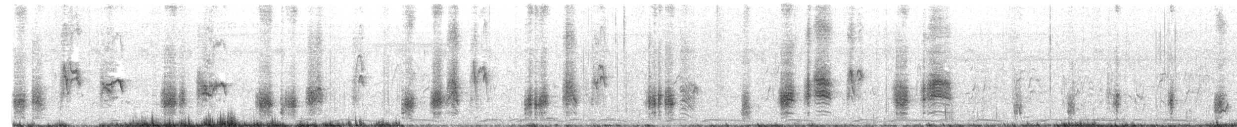 Rousserolle stentor - ML654630533