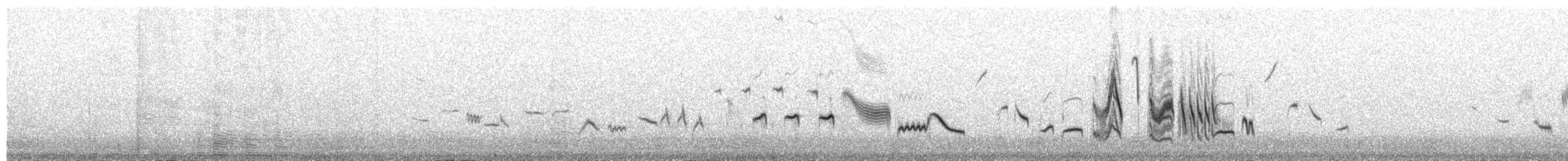 Monticole de roche - ML654630572