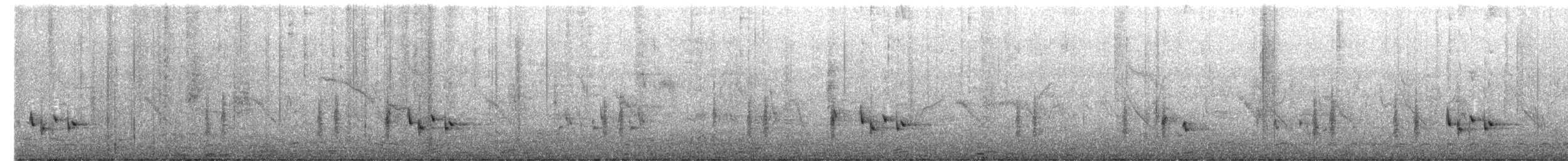 Bulbul à oreillons blancs - ML654630701