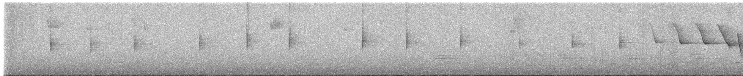 Paruline hochequeue - ML654630732