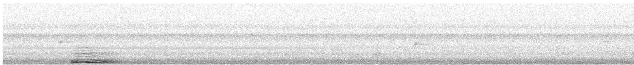 Barred Owl - ML654631170