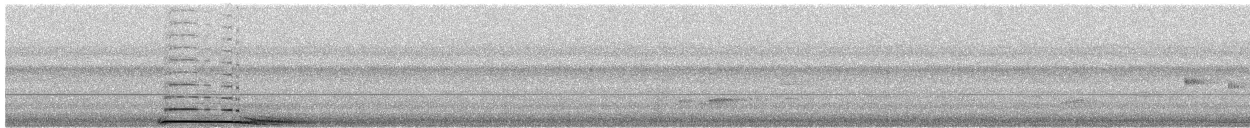 Barred Owl - ML654631173