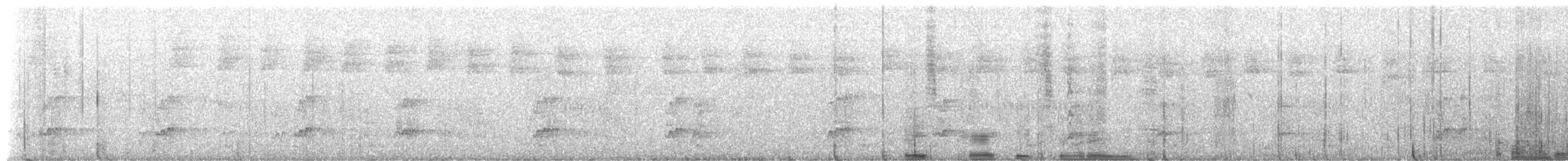 Myiarchus sp. - ML654646566