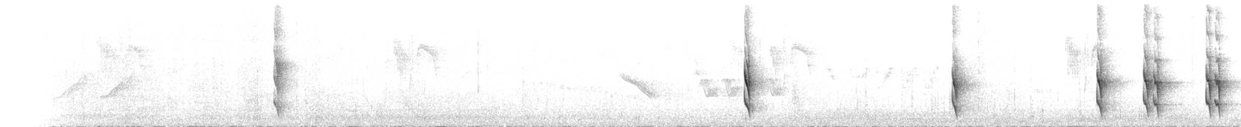 Ash-colored Tapaculo - ML654650106