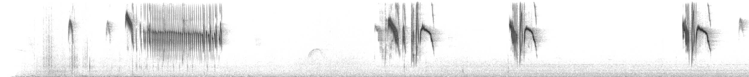 Unstreaked Tit-Tyrant - ML654650213
