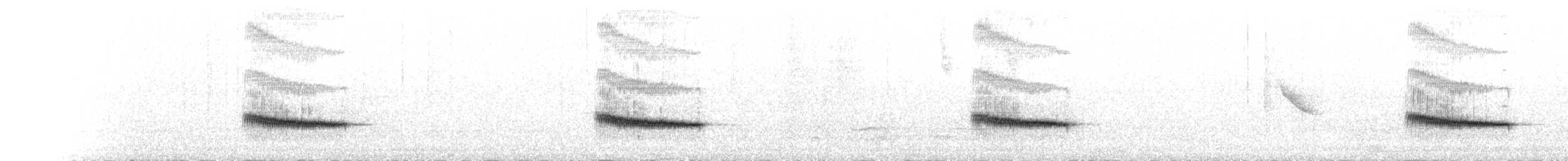 bird sp. - ML654653243