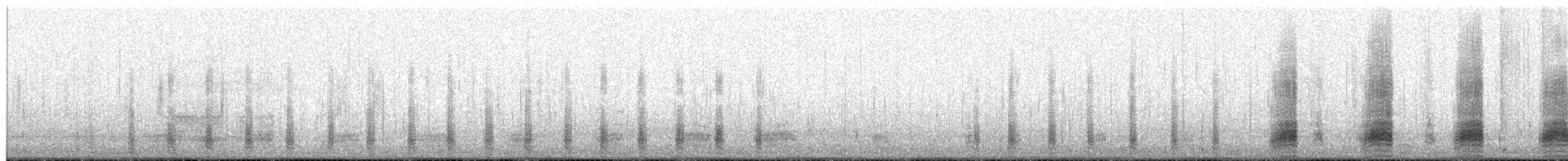 Stockente - ML654653797