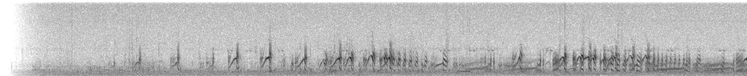 Chorlitejo Semipalmeado - ML65466021