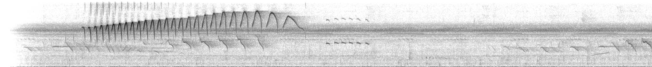 Mottled-face Tamarin - ML654664596