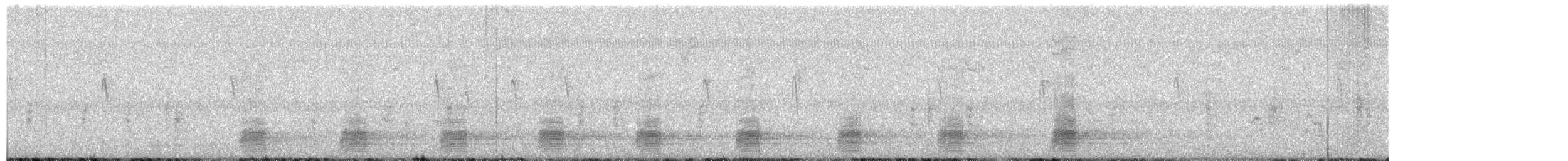 Stockente - ML654671674