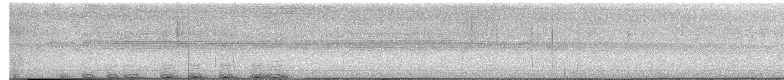 Barred Owl - ML654677308