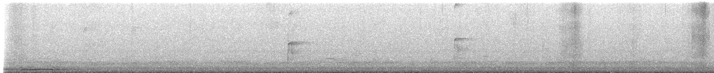 Barred Owl - ML654678093