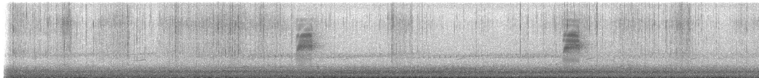 amerikarugde - ML654680377