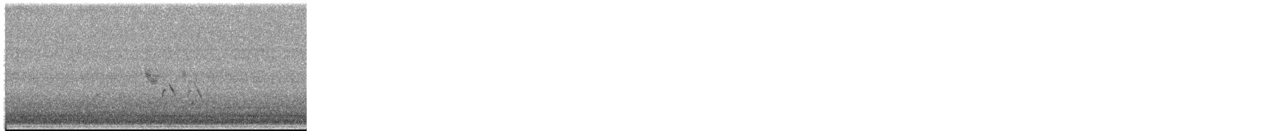 ub. spurvefugl (Passeriformes sp.) - ML654680594