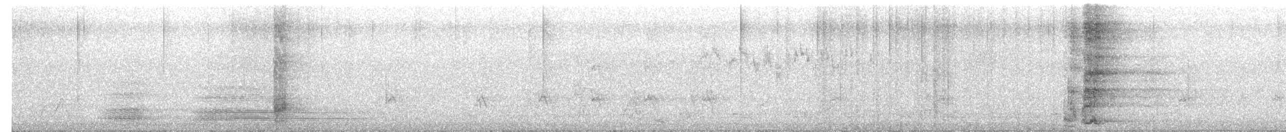 gyllenflikhonningeter - ML654680881