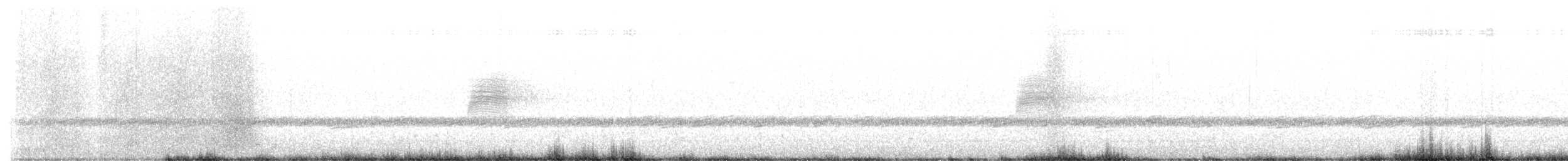 amerikarugde - ML654681071