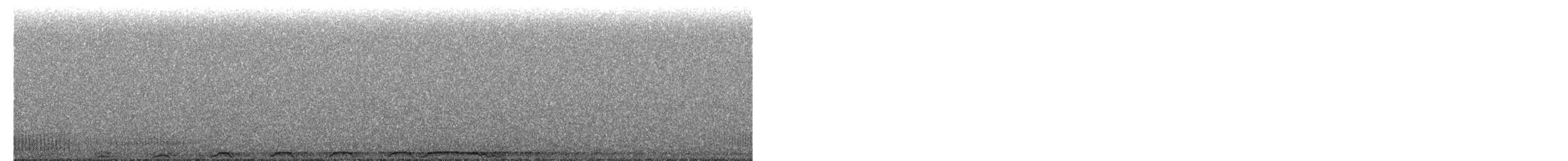 Barred Owl - ML654682014