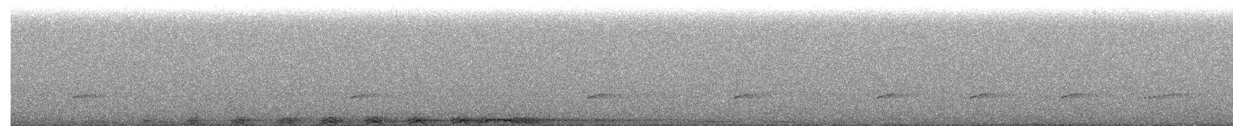 Barred Owl - ML654682015