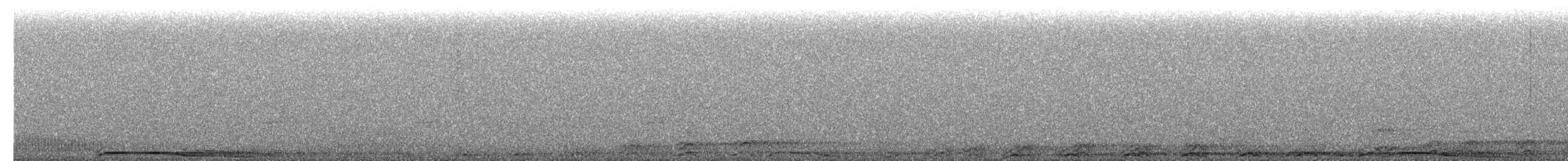 Barred Owl - ML654682017