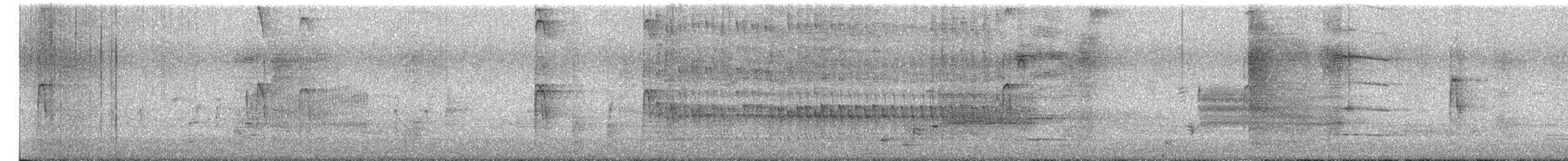 hårspett (villosus gr.) - ML654683072