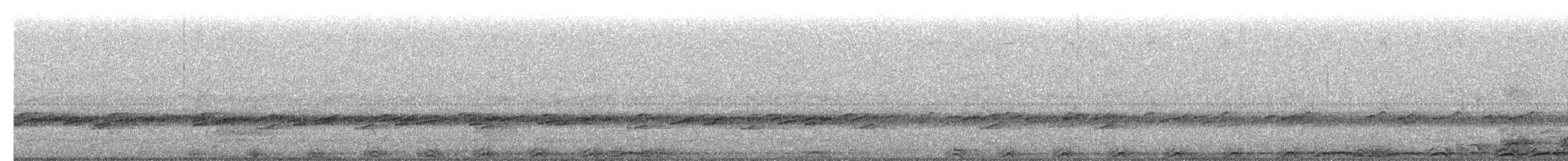 Barred Owl - ML654688129