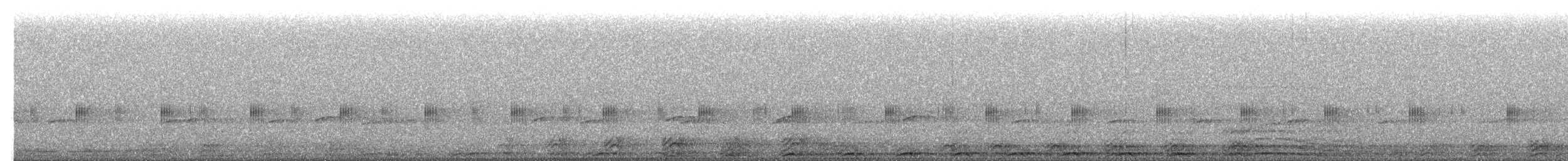 Barred Owl - ML654688130