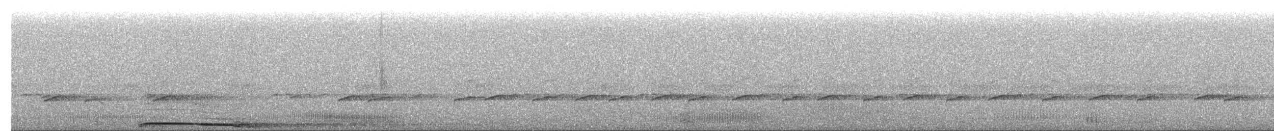 Barred Owl - ML654688133