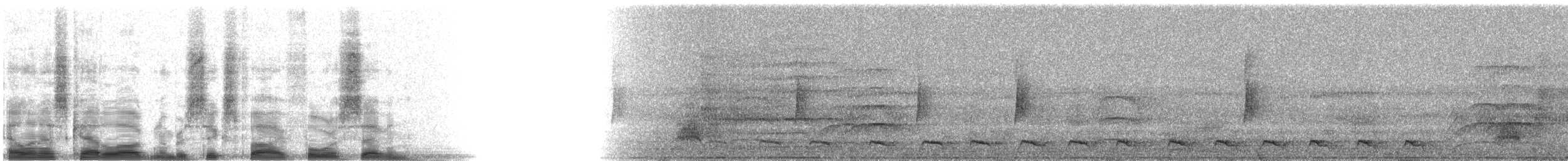 Gartered Violaceous Trogon - ML6547