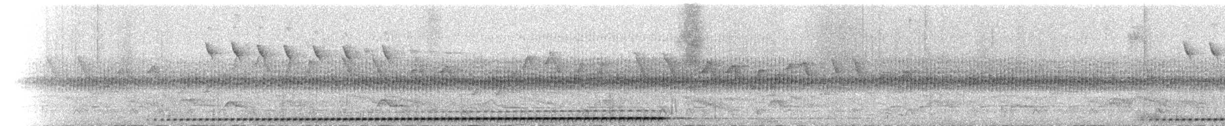 Undulated Antpitta - ML654702043