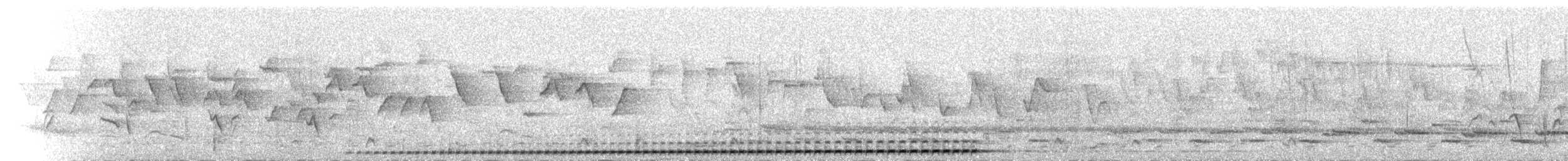 Undulated Antpitta - ML654702045